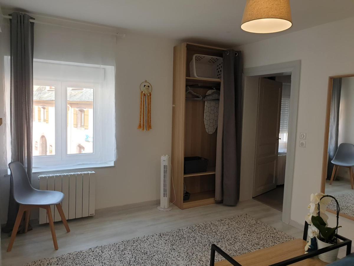 Le Terramon - Appartement 4 Personnes Orbey Buitenkant foto
